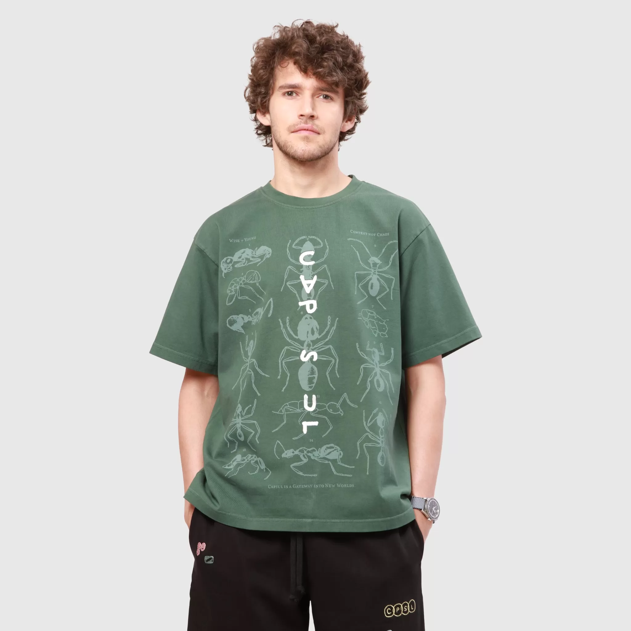 ANT FAM TEE (Sacramento Green)