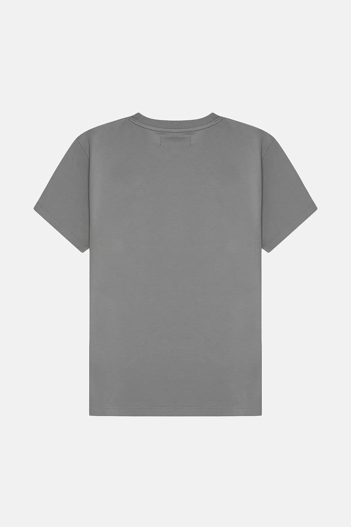 Basic Premium T-shirt - Gri