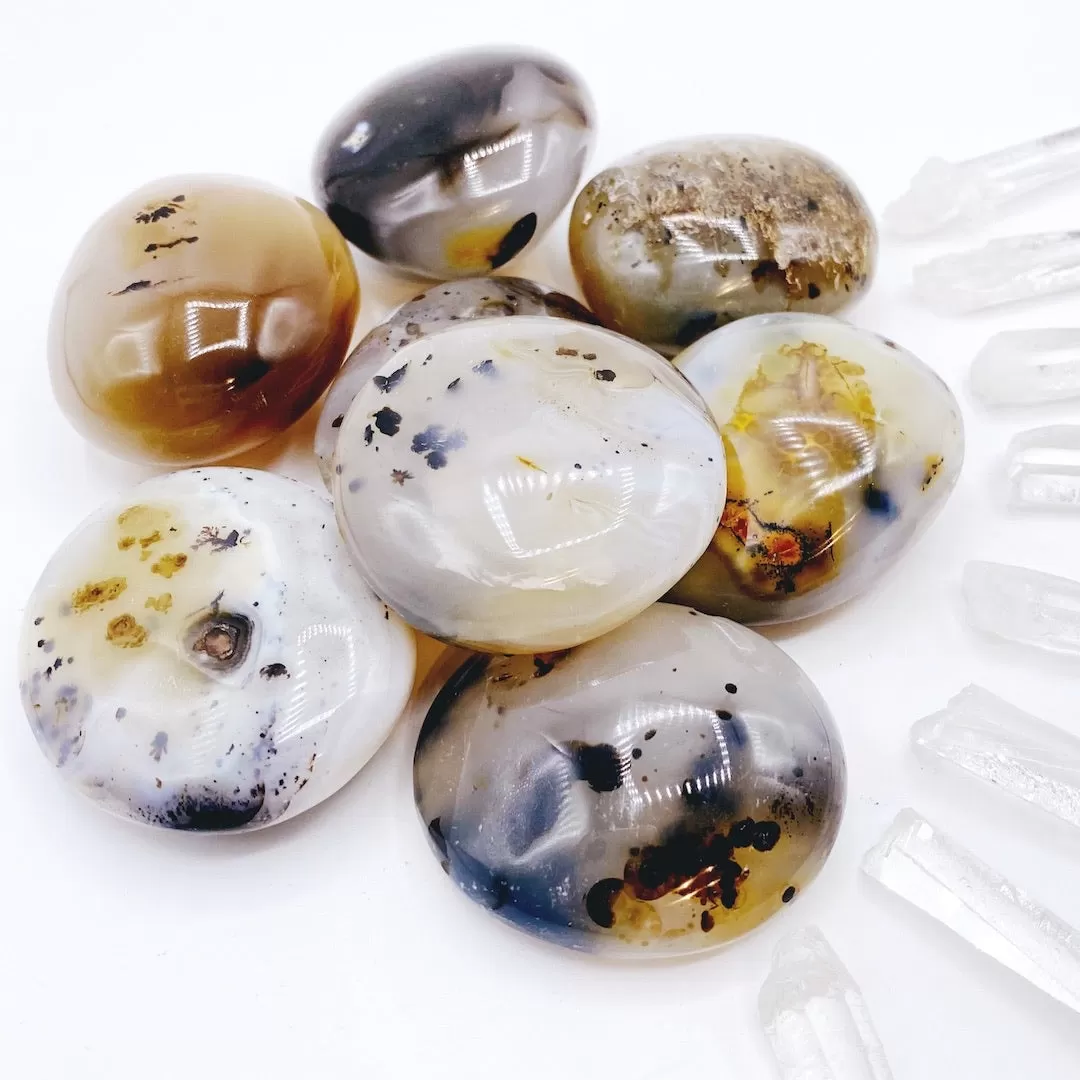 Dendritic Agate Palm Stones