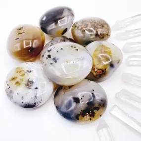 Dendritic Agate Palm Stones