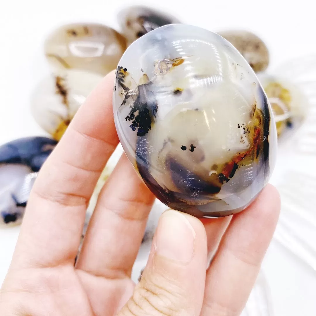 Dendritic Agate Palm Stones