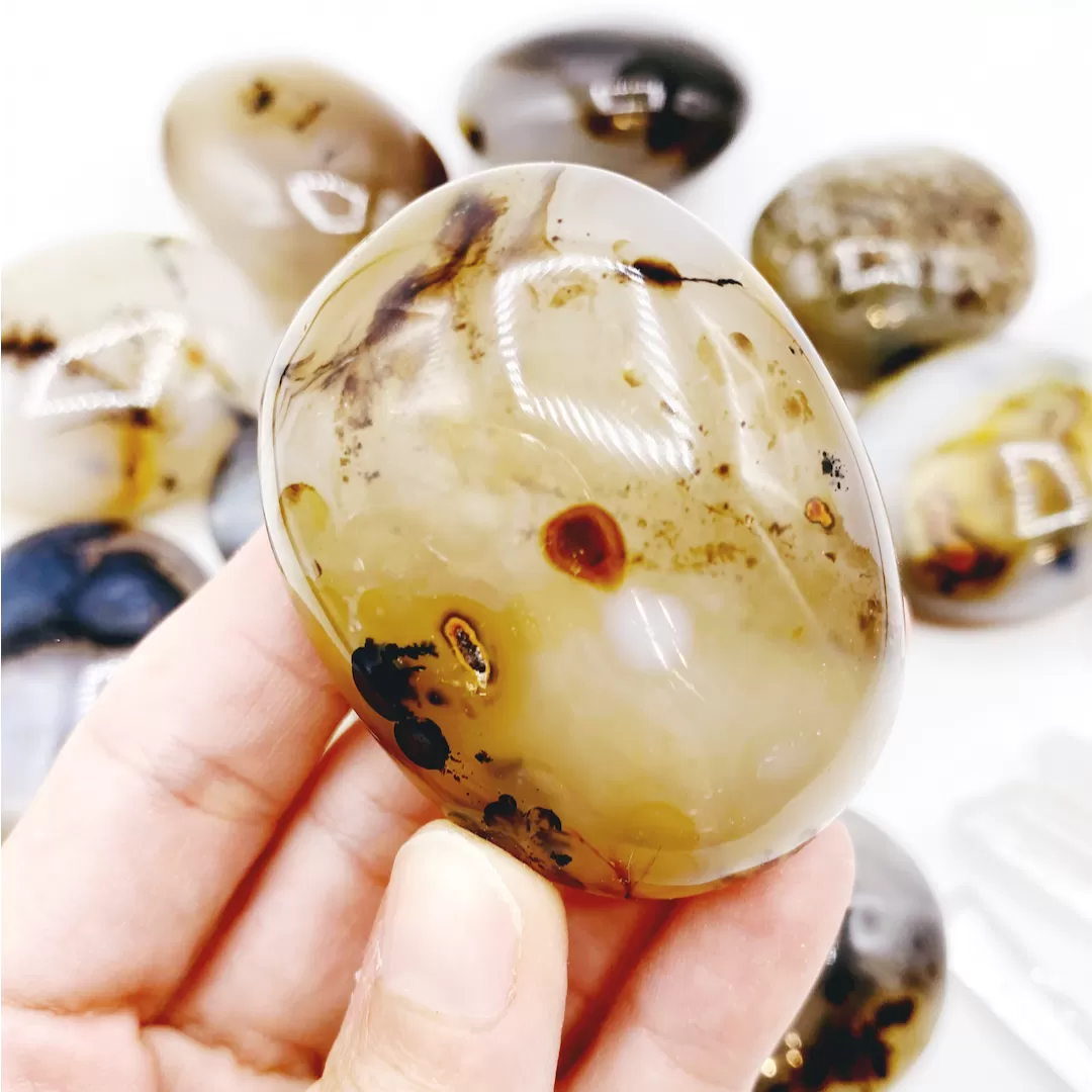 Dendritic Agate Palm Stones