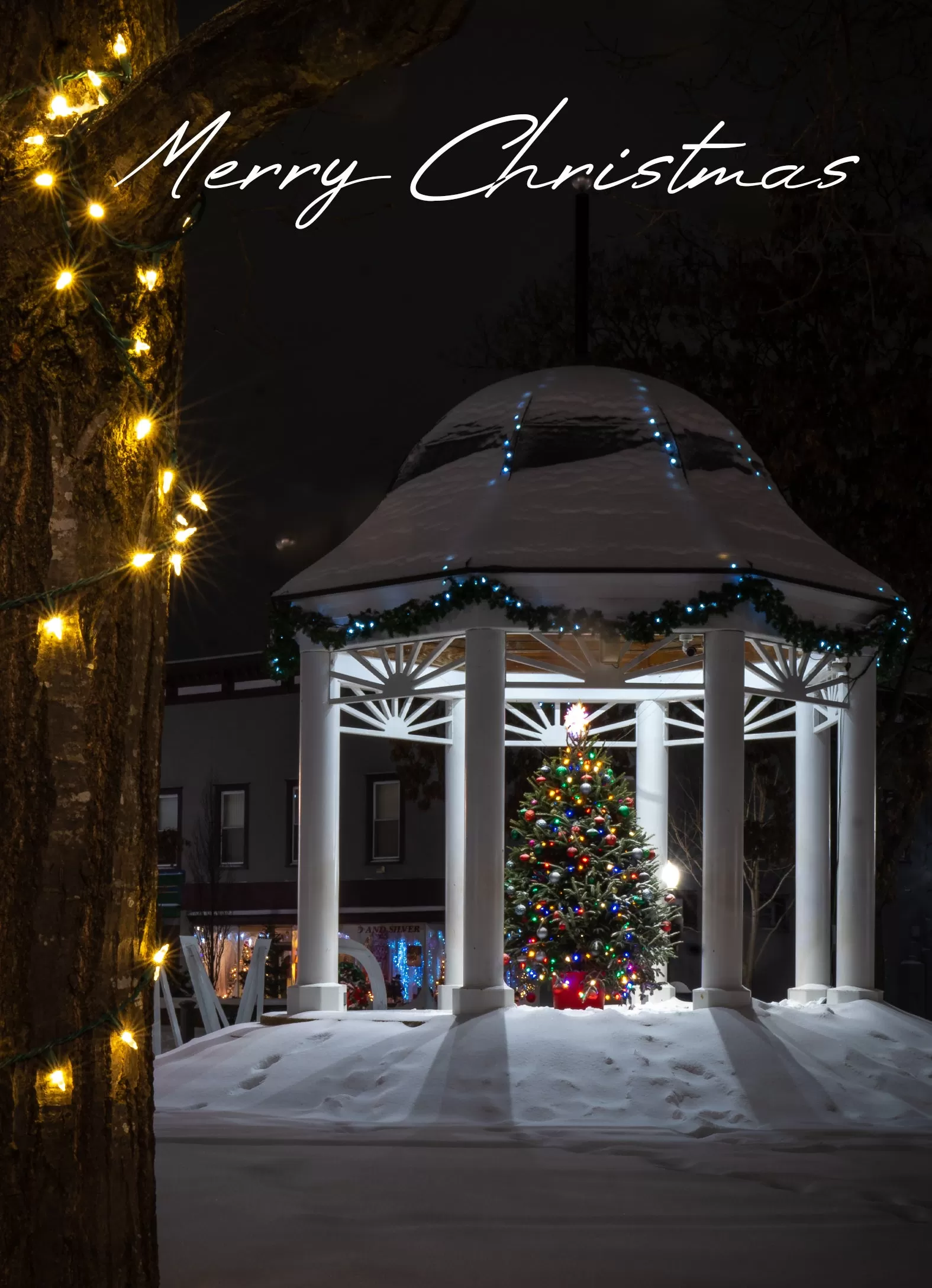 Front Royal Gazebo at Christmas Holiday Card