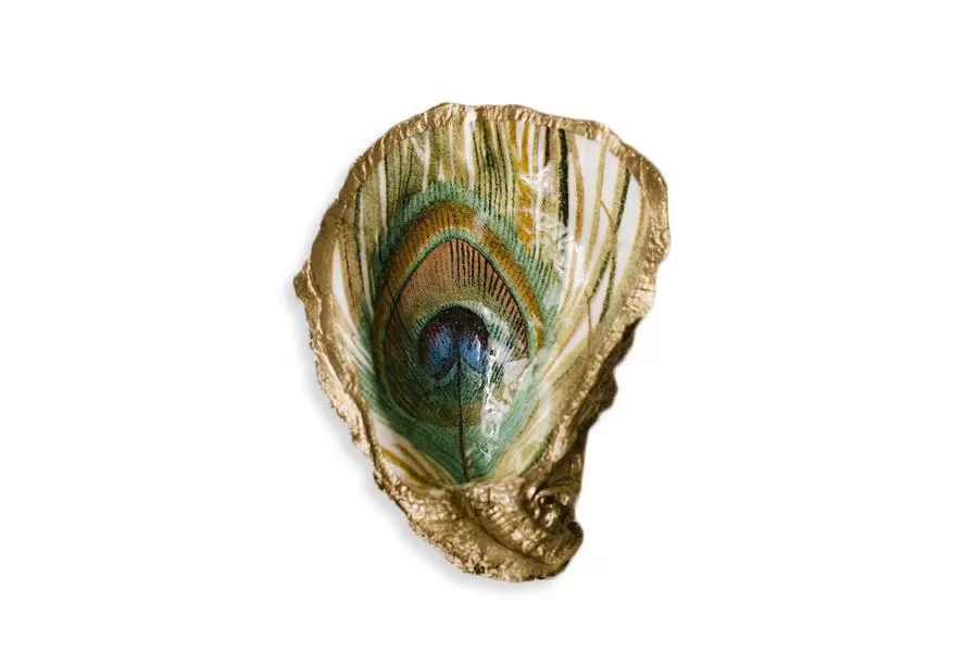 Peacock Feather Oyster Shell