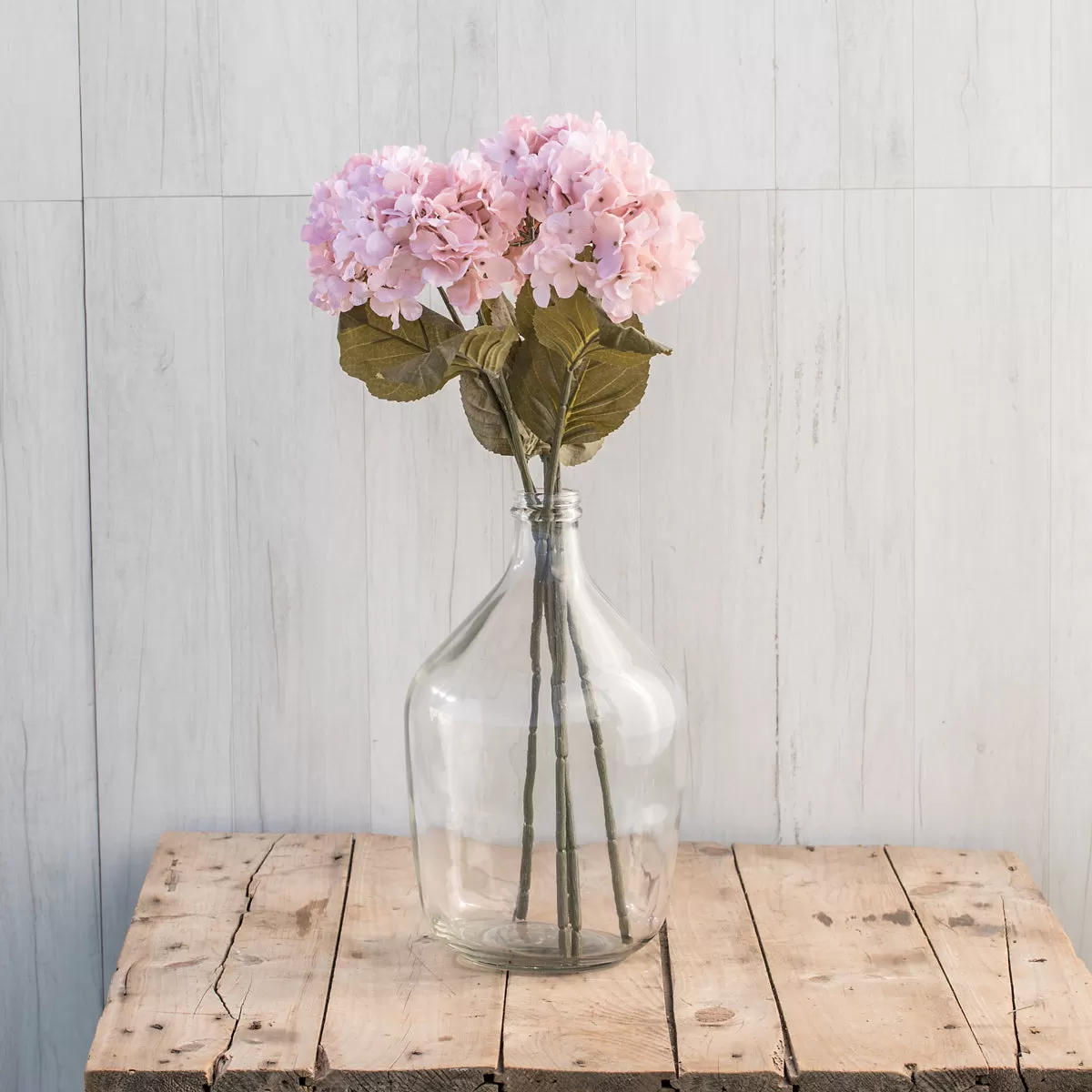 Pink Hydrangea Stem